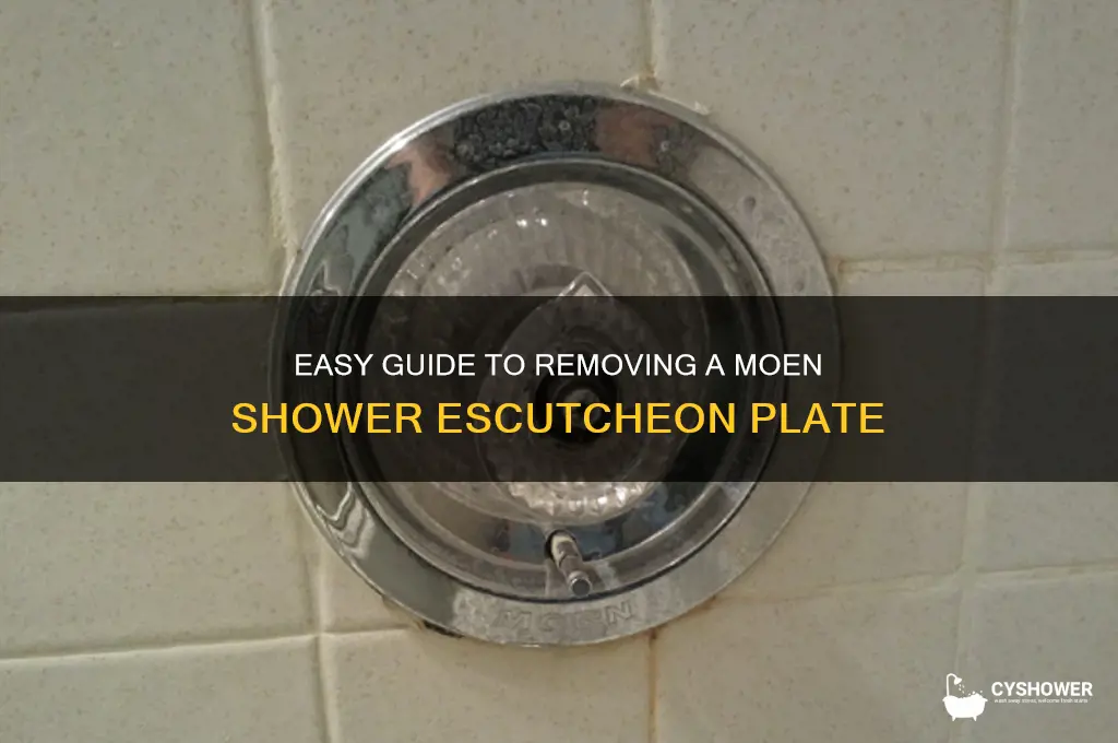 how to remove moen shower escutcheon