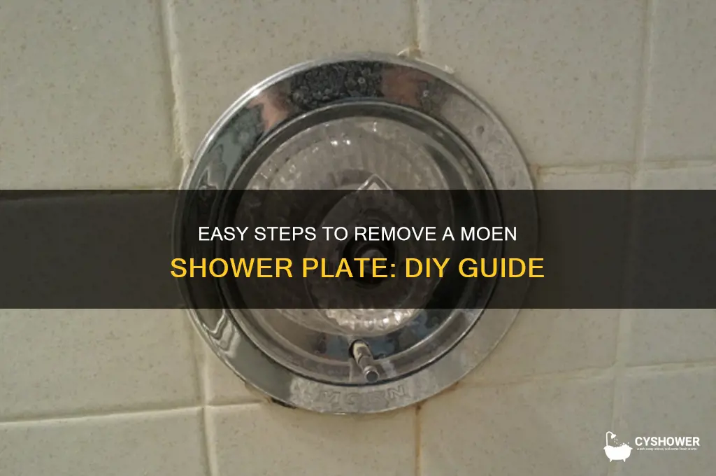how to remove moen shower plate