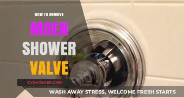 Easy Guide to Removing a Moen Shower Valve Step-by-Step