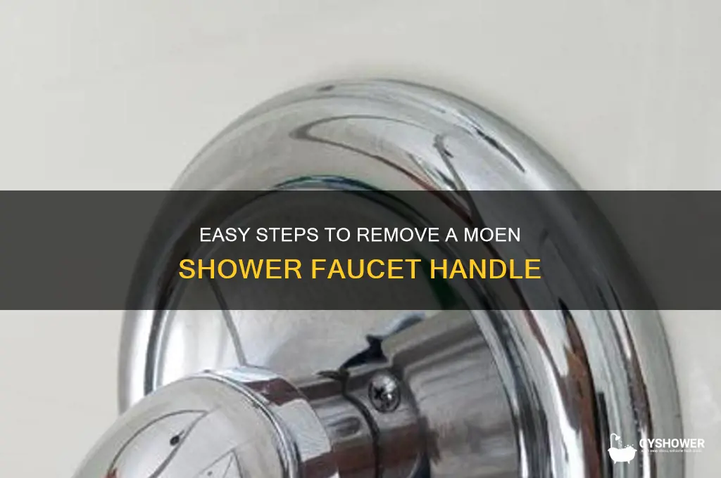 how to remove moen water handle shower faucet