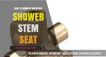 Easy Guide to Removing a Moentrol Shower Stem Seat