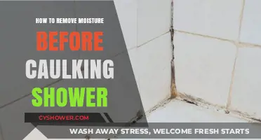 Effective Shower Caulking: Tips to Remove Moisture Before Sealing