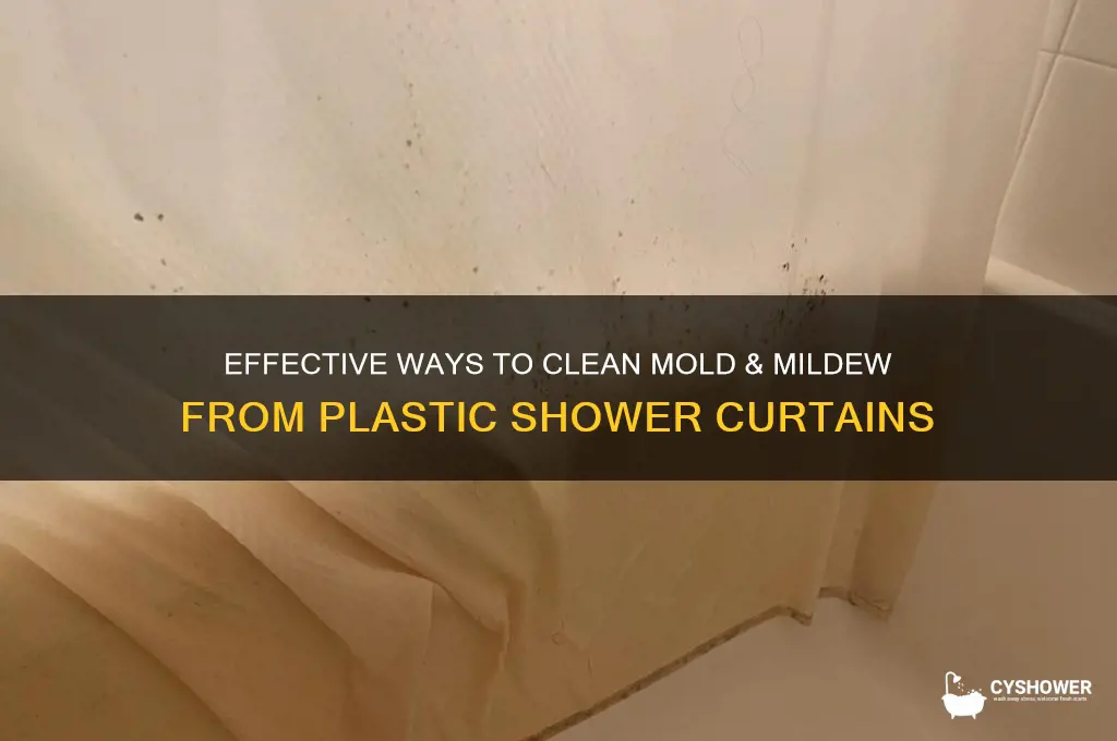how to remove mold & mildew from plastic shower curtain