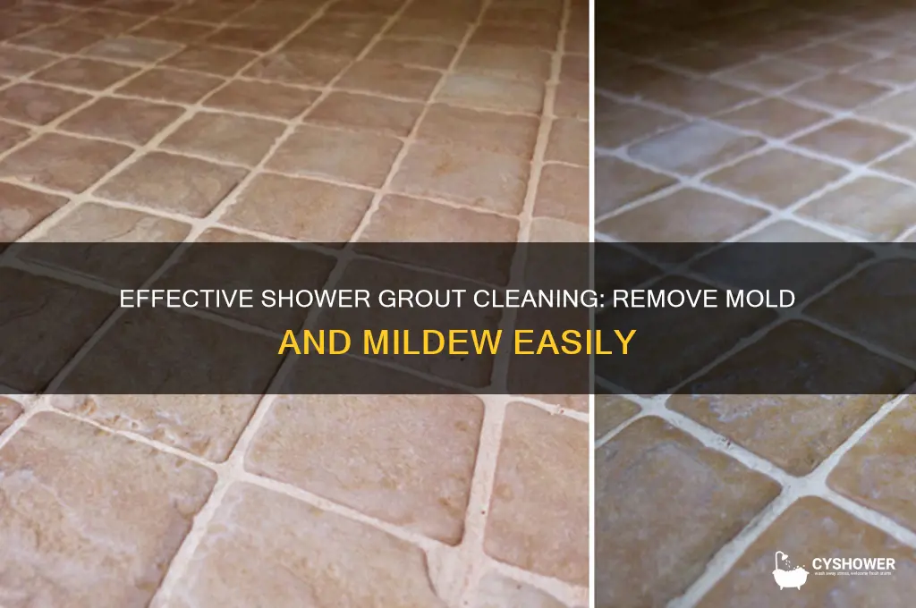 how to remove mold and mildew from grout in shower