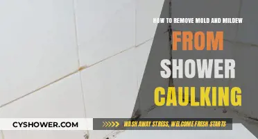 Effective Tips to Remove Mold and Mildew from Shower Caulking