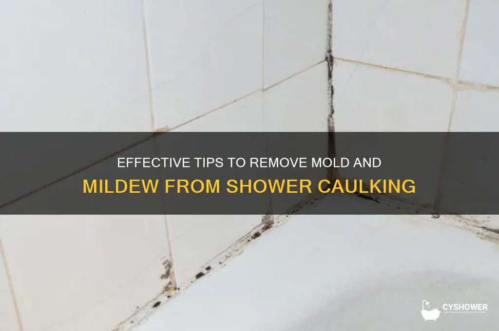 how to remove mold and mildew from shower caulking