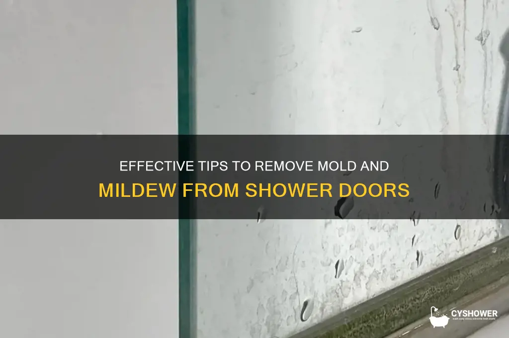 how to remove mold and mildew from shower doors
