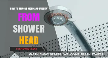 Effective Shower Head Cleaning: Remove Mold and Mildew Easily