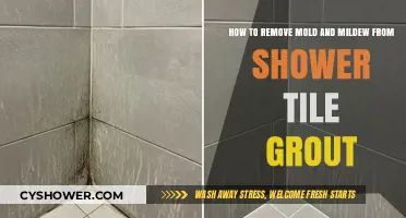 Effective Ways to Clean Mold and Mildew from Shower Tile Grout