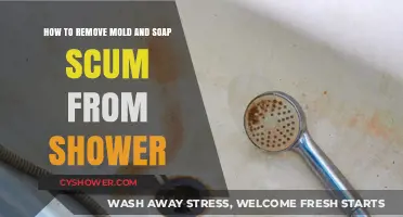 Effective Tips to Eliminate Mold and Soap Scum from Your Shower