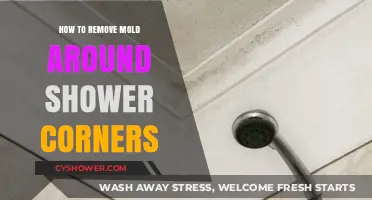 Effective Tips to Eliminate Mold in Shower Corners Permanently