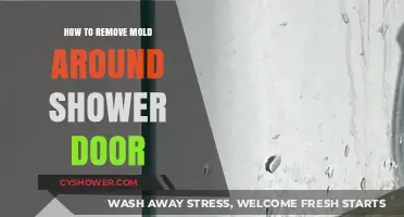 Effective Tips to Remove Mold Around Your Shower Door Easily