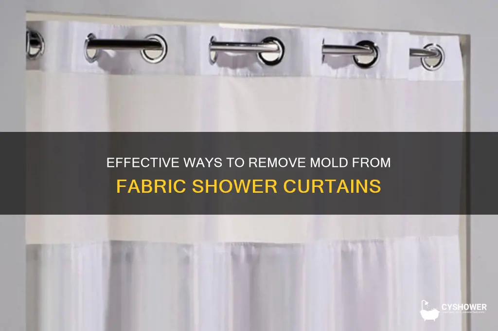 how to remove mold from a fabric shower curtain