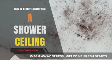 Effective Tips to Remove Mold from Your Shower Ceiling Easily