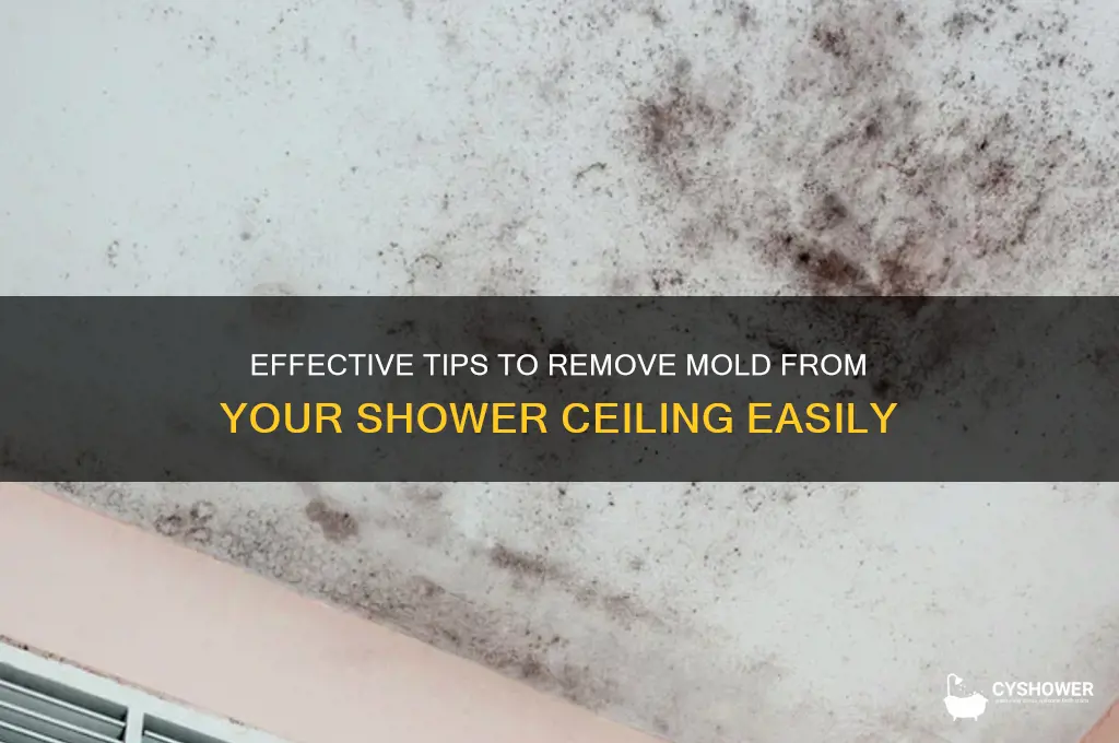 how to remove mold from a shower ceiling