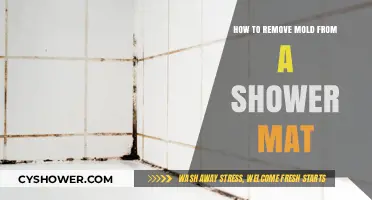 Effective Ways to Remove Mold from Your Shower Mat Easily