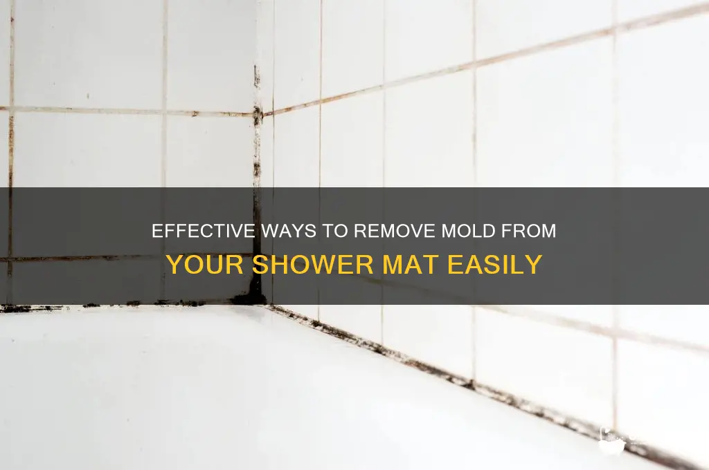 how to remove mold from a shower mat