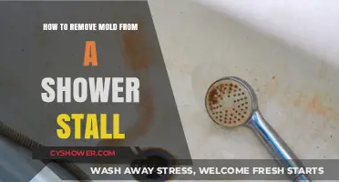 Effective Tips to Remove Mold from Your Shower Stall Easily