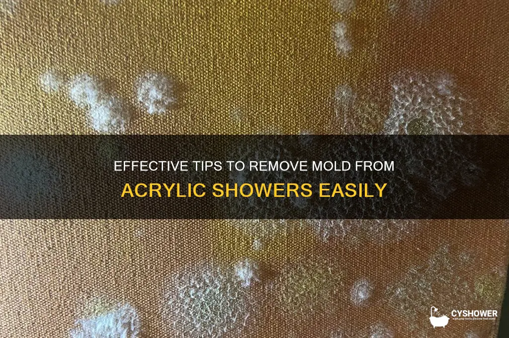 how to remove mold from acrylic shower