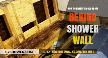 Effective Steps to Remove Mold Behind Your Shower Wall Safely