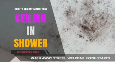 Effective Ways to Remove Mold from Your Shower Ceiling