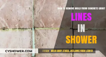 Effective Ways to Remove Mold from Shower Concrete Grout Lines