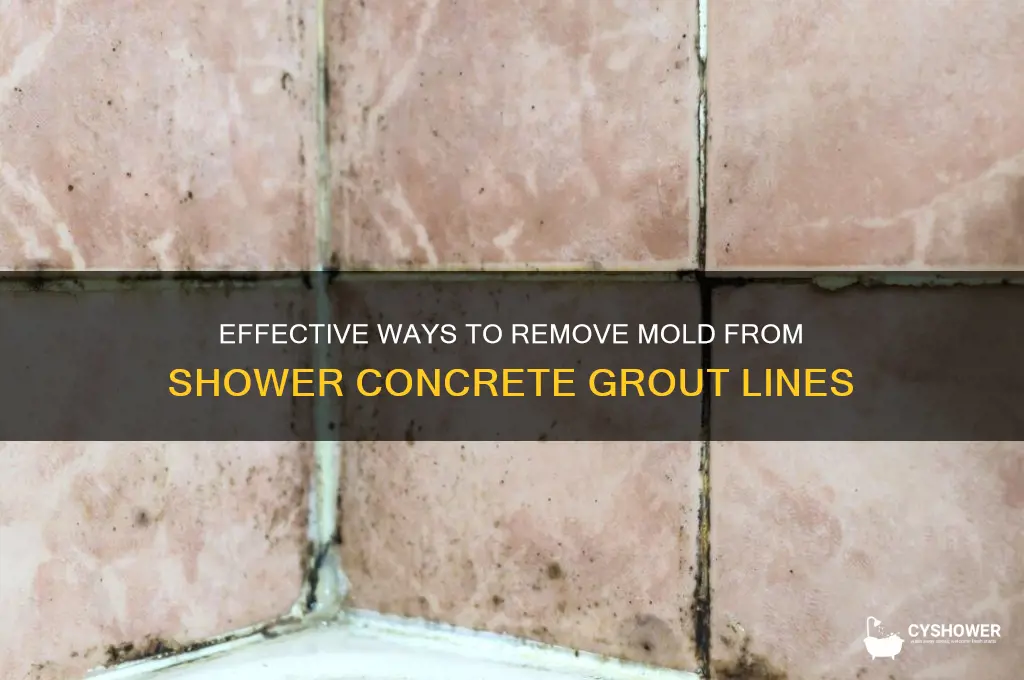 how to remove mold from concrete grout lines in shower