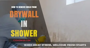 Effective Steps to Remove Mold from Shower Drywall Safely