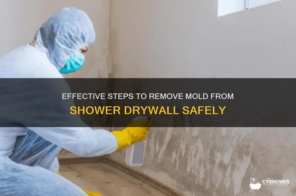 how to remove mold from drywall in shower
