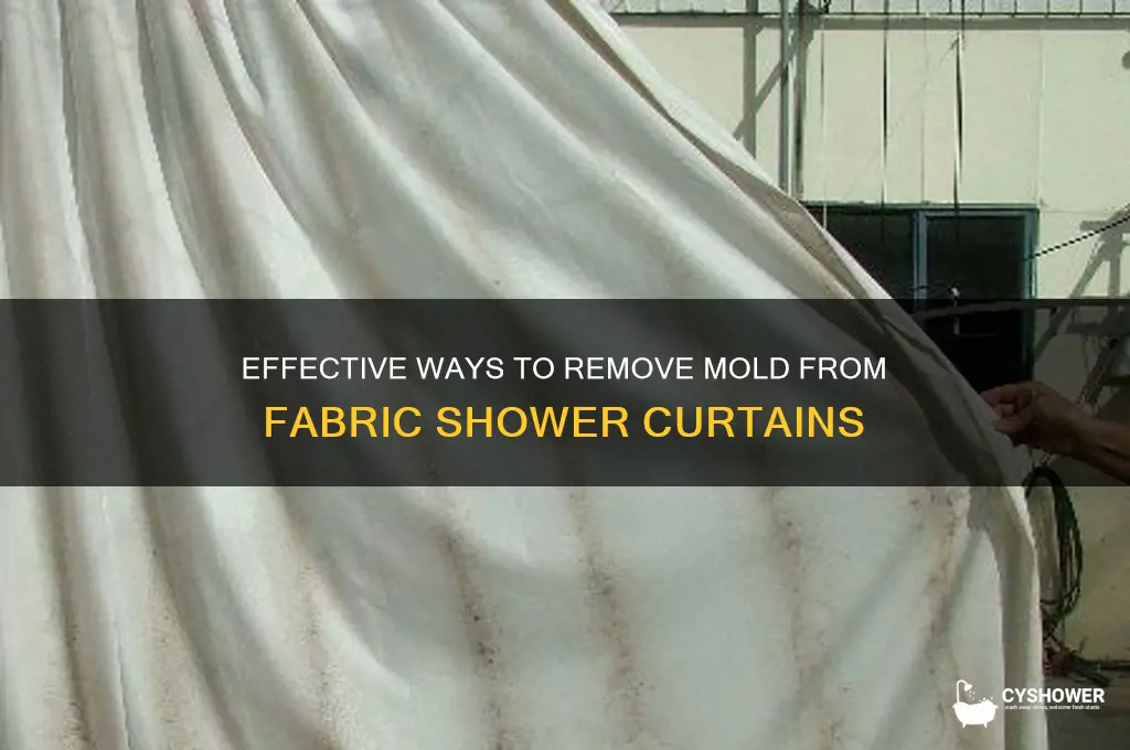 how to remove mold from fabric shower curtain