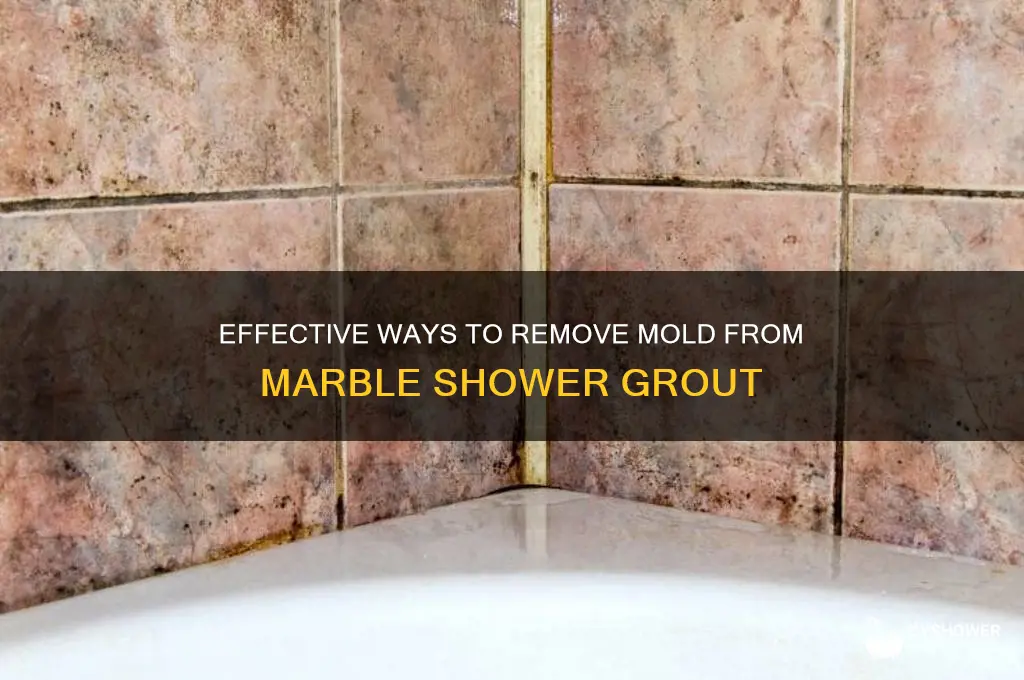 how to remove mold from grout in marble shower