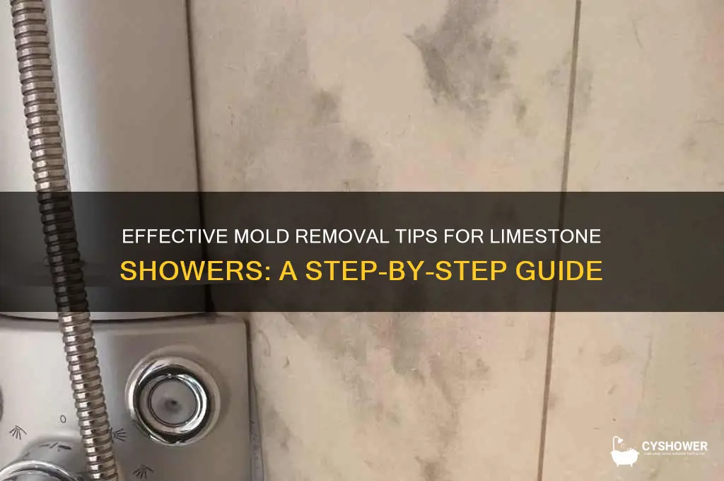 how to remove mold from limestone shower