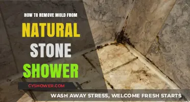 Effective Mold Removal Tips for Natural Stone Showers