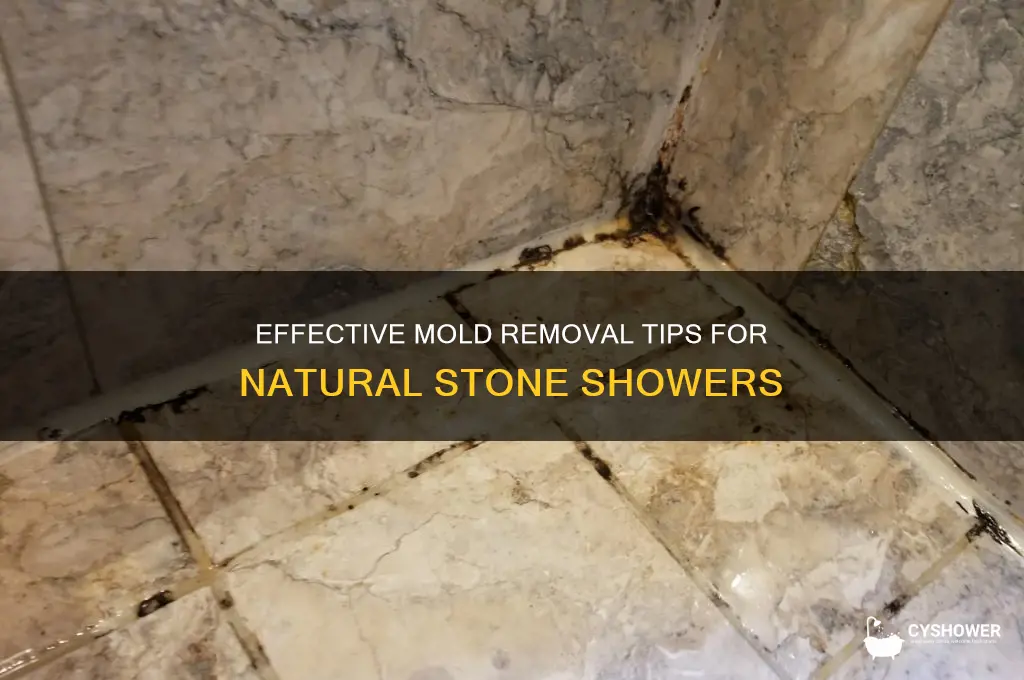 how to remove mold from natural stone shower