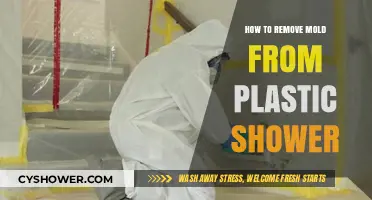 Effective Ways to Remove Mold from Plastic Shower Surfaces
