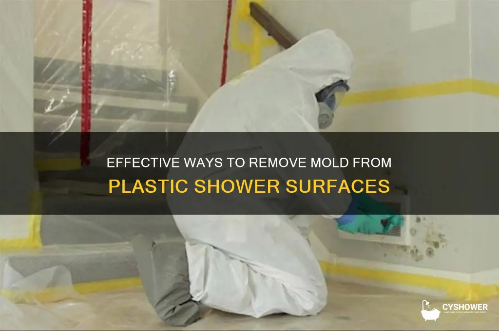 how to remove mold from plastic shower