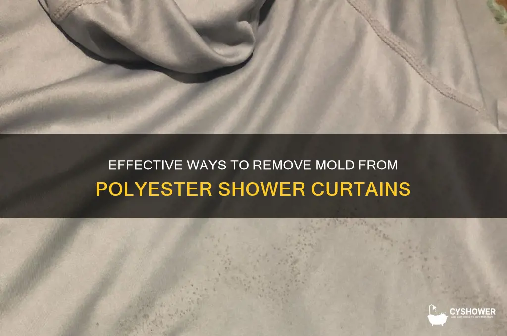 how to remove mold from polyester shower curtain