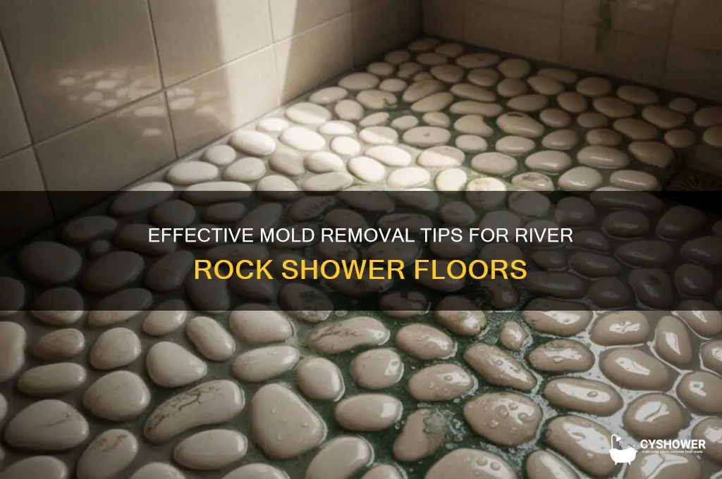 how to remove mold from river rock shower floor