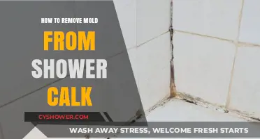 Effective Tips to Remove Mold from Shower Caulk Easily