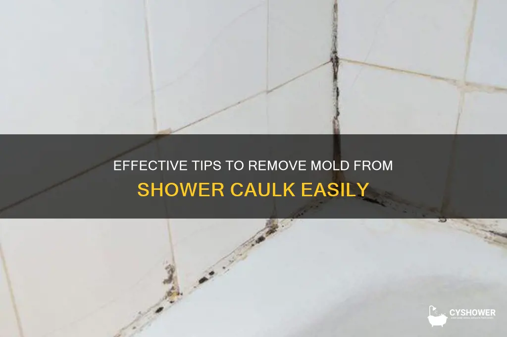 how to remove mold from shower calk