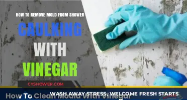 Effective Vinegar Method to Remove Mold from Shower Caulking