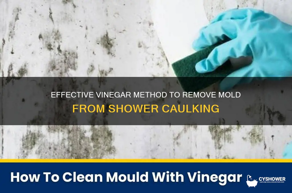how to remove mold from shower caulking with vinegar