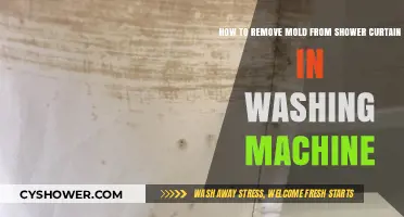 Easy Washing Machine Method to Clean Moldy Shower Curtains