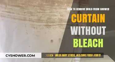 Effective Ways to Clean Moldy Shower Curtains Without Using Bleach