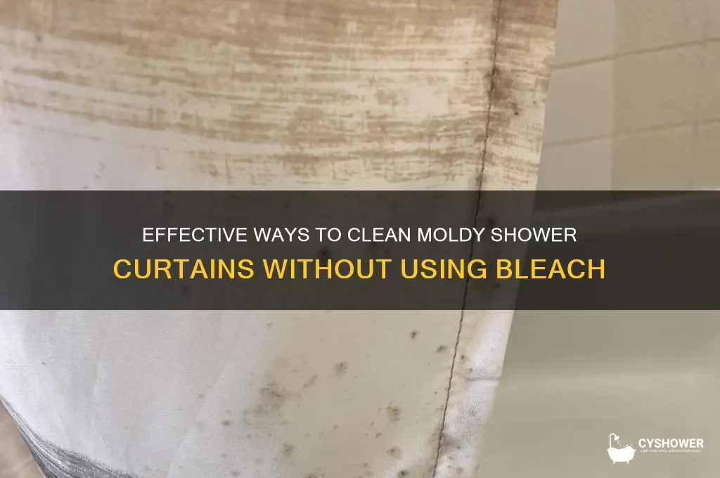 how to remove mold from shower curtain without bleach