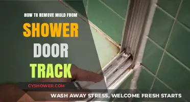 Effective Tips to Clean and Prevent Mold in Shower Door Tracks
