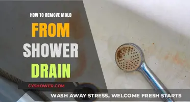 Effective Ways to Remove Mold from Your Shower Drain Easily