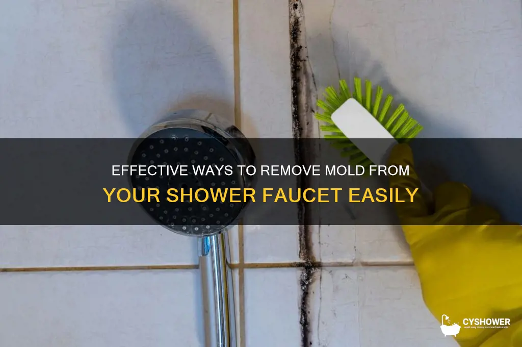 how to remove mold from shower faucet
