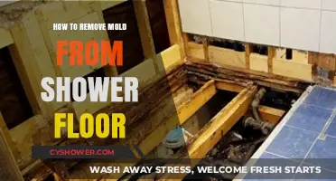 Effective Tips to Remove Mold from Your Shower Floor Easily