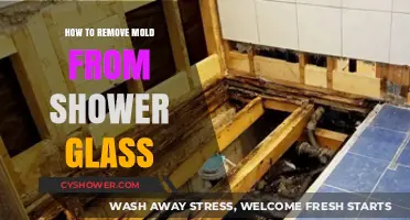 Effective Tips to Remove Mold from Shower Glass Easily